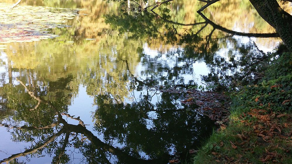 HomeExchange members vacation in France