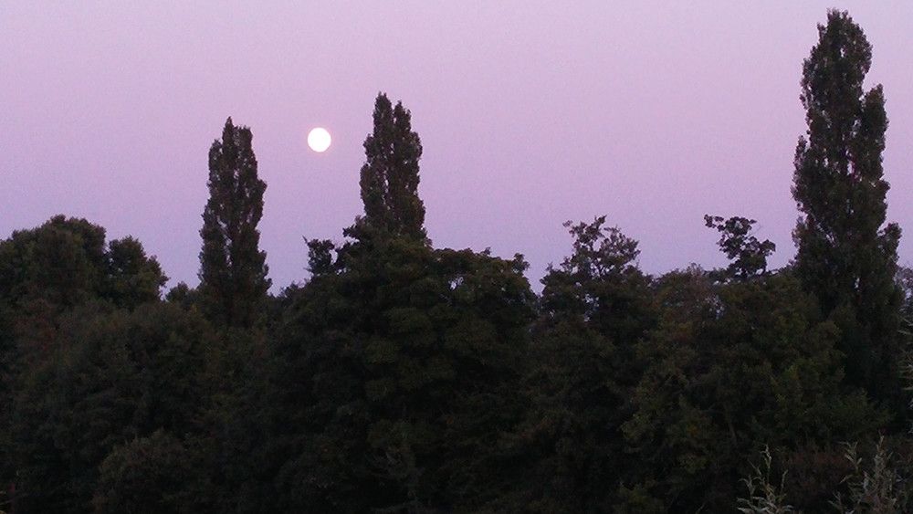 HomeExchange members vacation in France