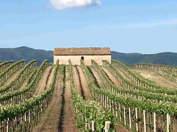 Home exchange in Lazio, Italy