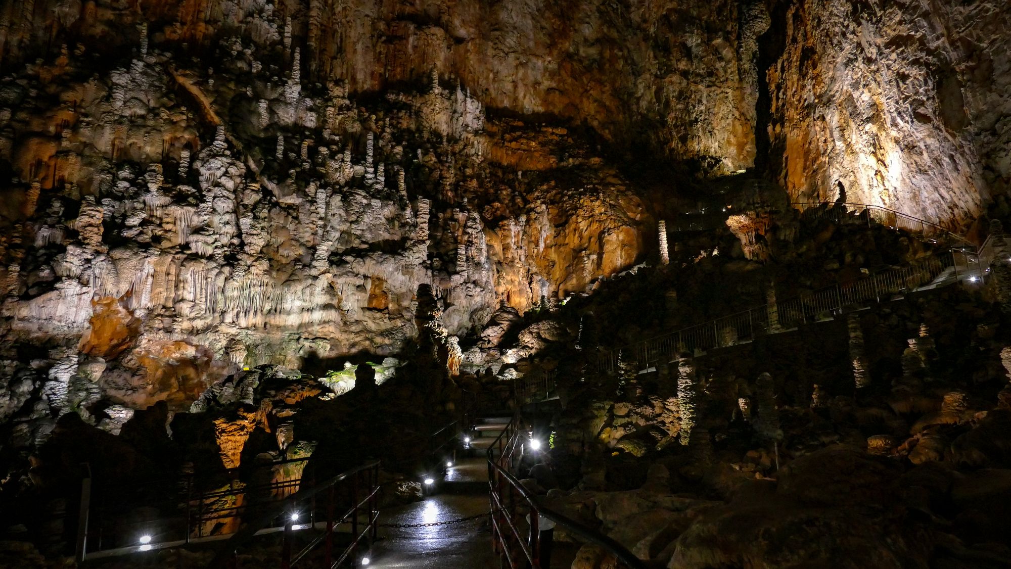 2613d00bfc86-_1220888