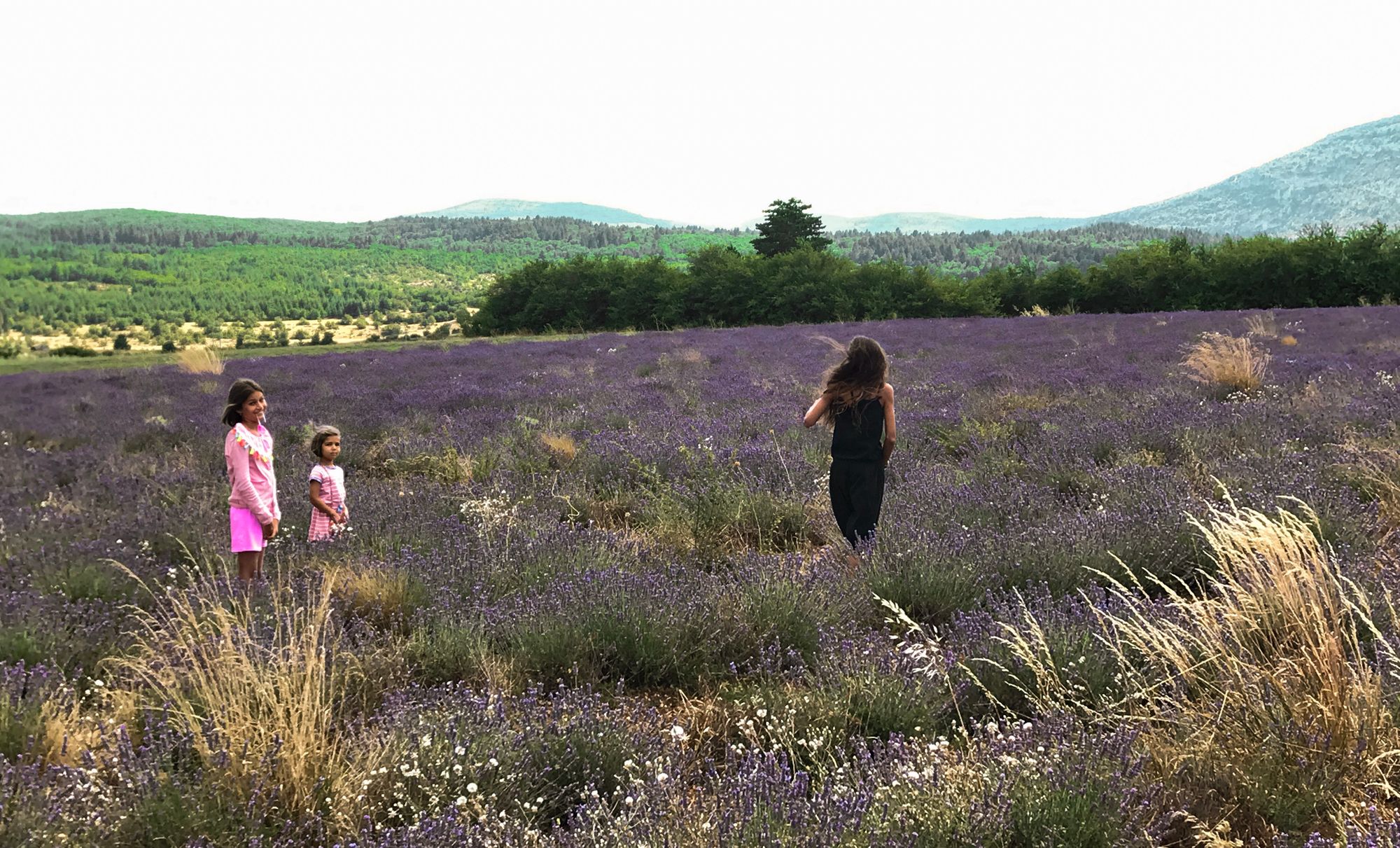 57df0c1046bc-IMG_5318-2