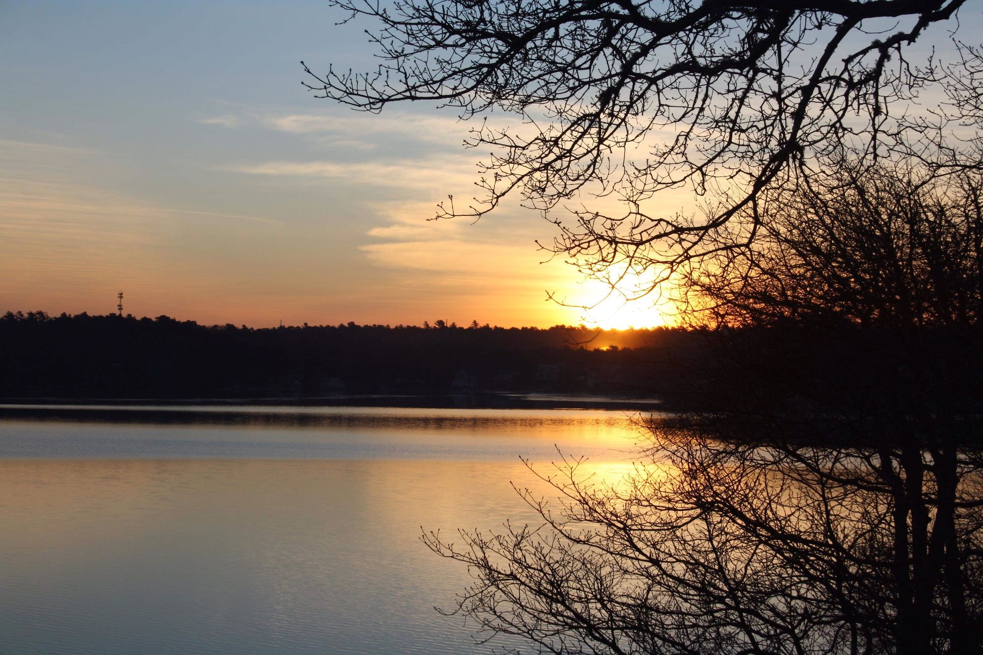 3367d8ef1141-IMG_2192--1-