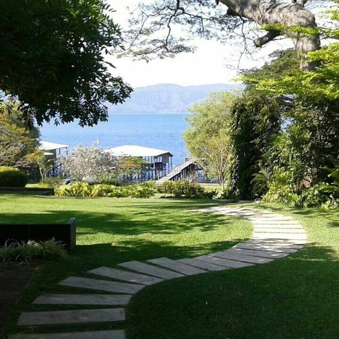 f0d4400aa0fb-img_20190313_211746_813_1695086147-1