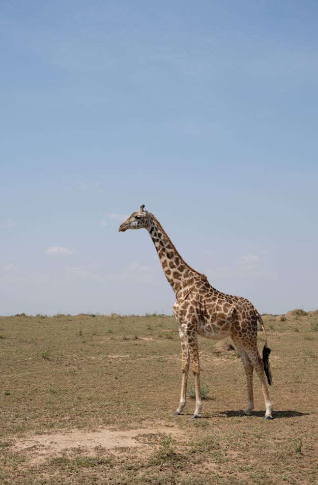 home-exchange-women-2