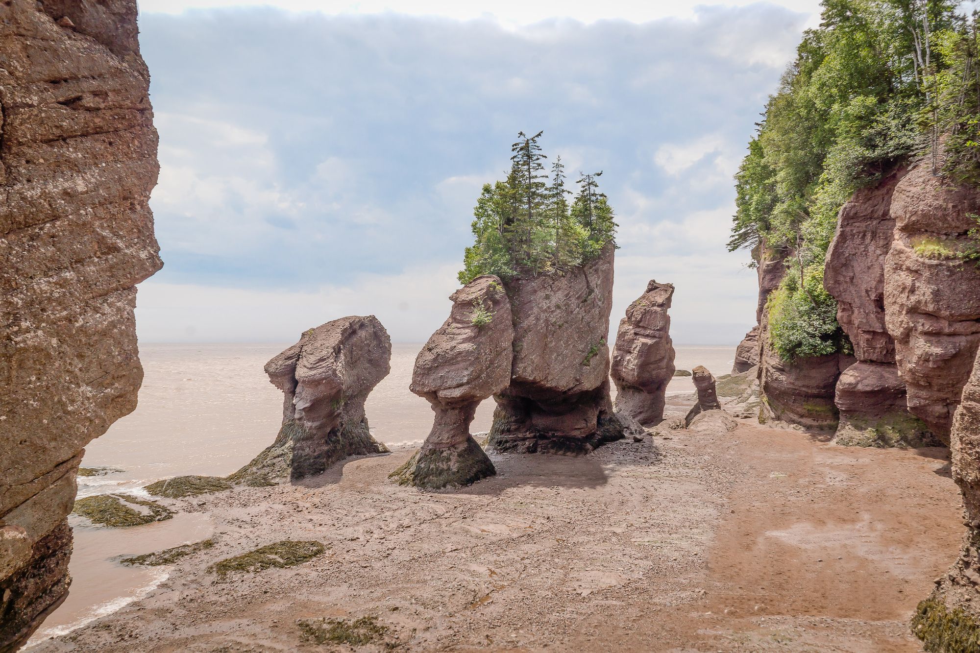 Fundy National Park in New Brunswick