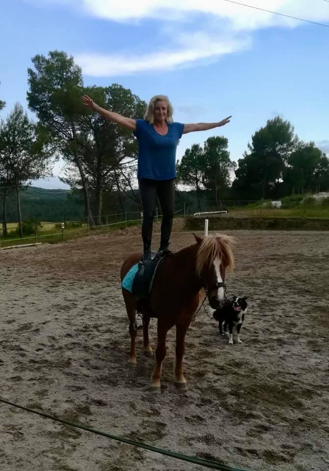 Horse and dog — travel with pets when you home exchange