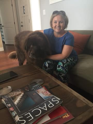 Travel with pets - HomeExchange