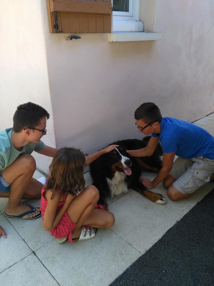 HomeExchange travelers adapt to travel changes during coronavirus, traveling close to home