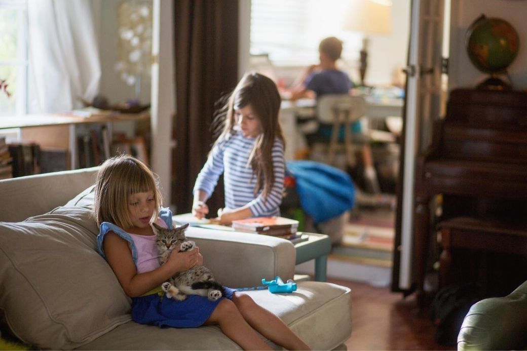 Alt HomeExchange_living-room_kids_cat, title HomeExchange_living-room_kids_cat
