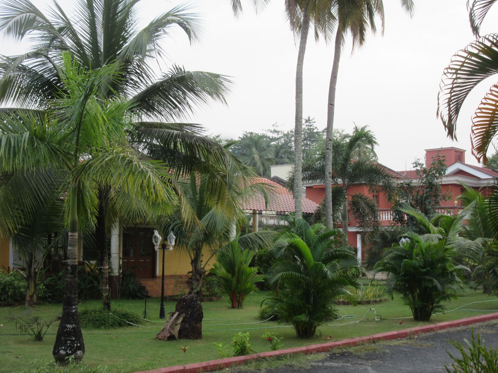 William's home exchange in Goa, India