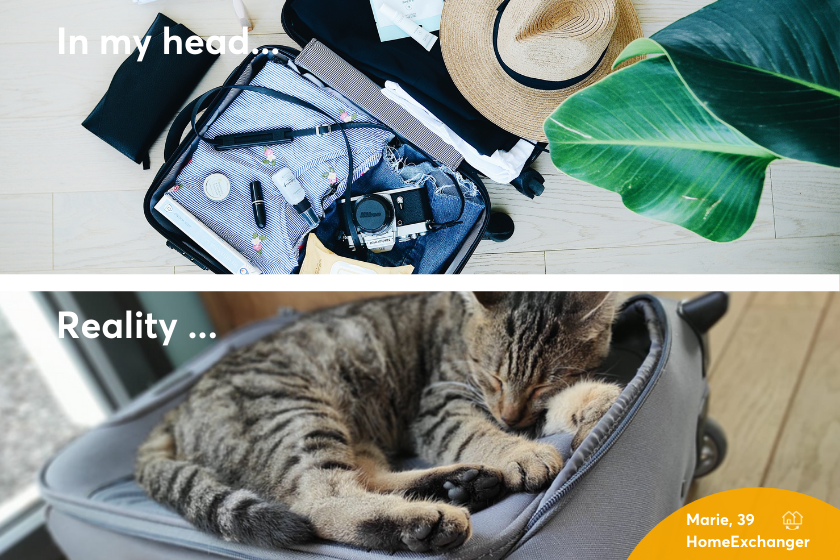 Alt Expectations-vs-reality_suitcase_cat-1, title Expectations-vs-reality_suitcase_cat-1