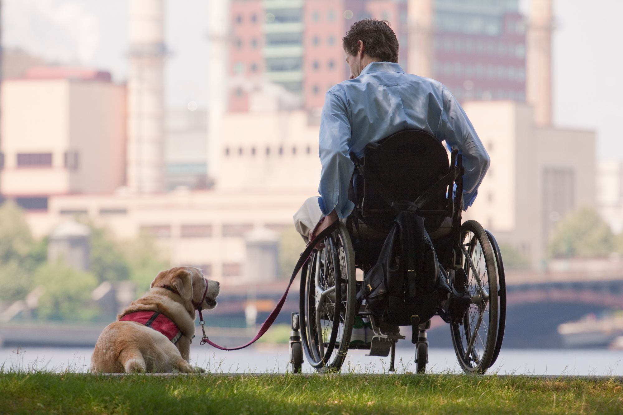 Tips for traveling with a service animal