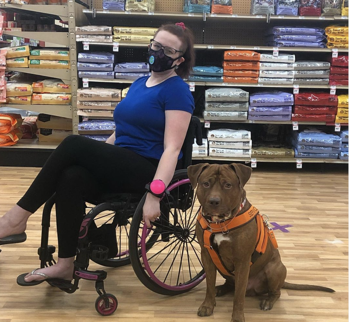 Tips for traveling with a service animal