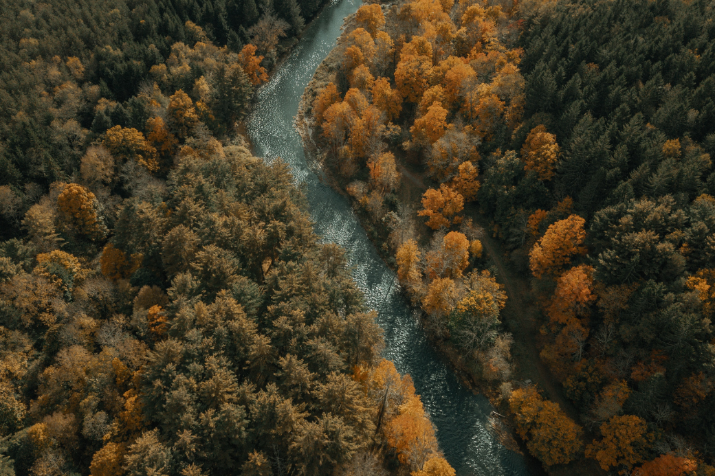 Catskills