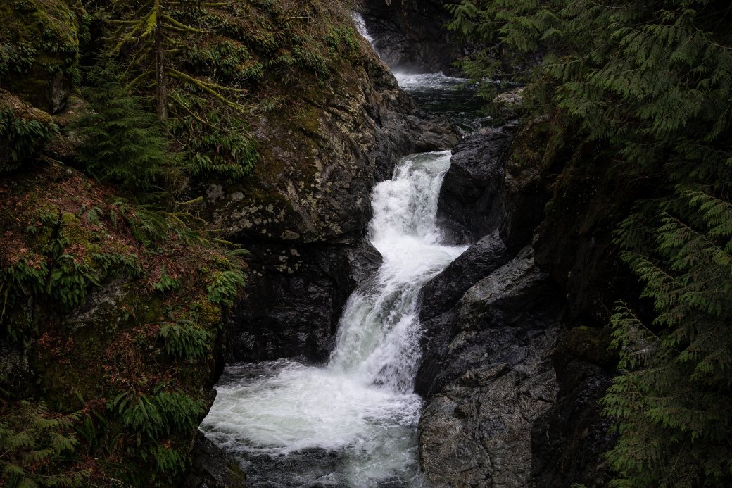 TwinFalls