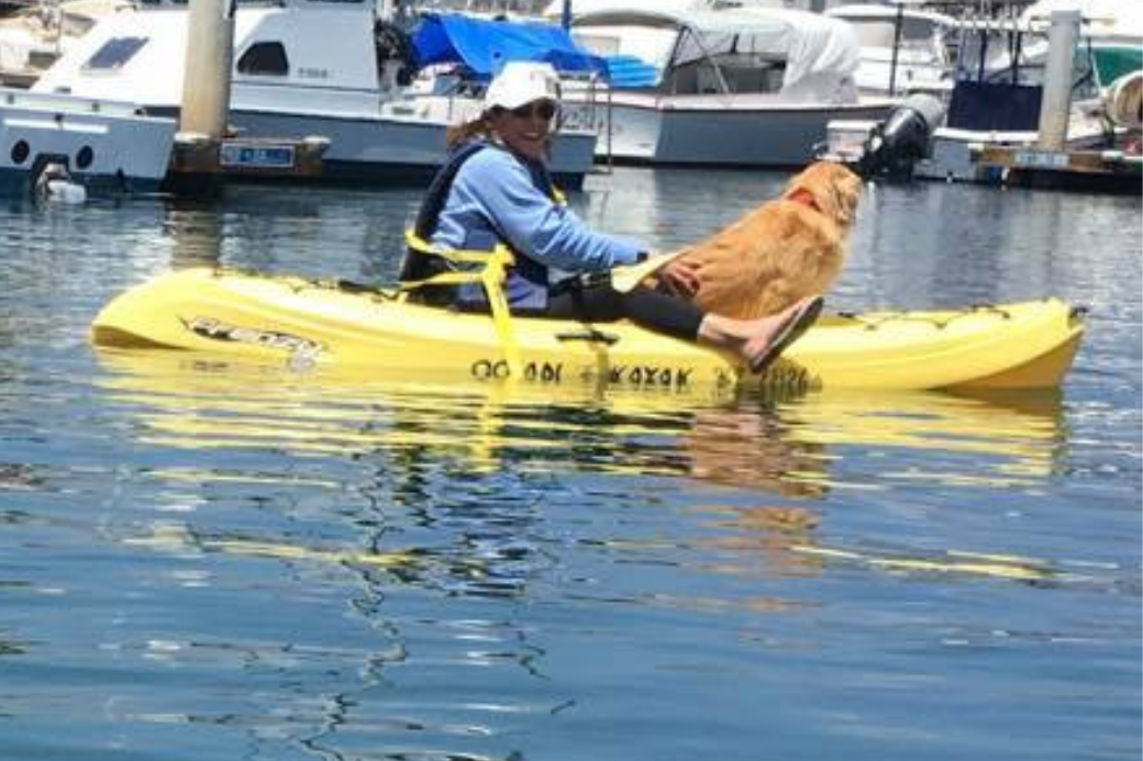 BobbiDogsofHomeExchange