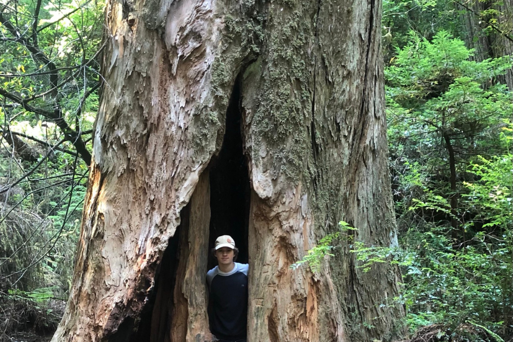 MicheleRussellBlog2-1