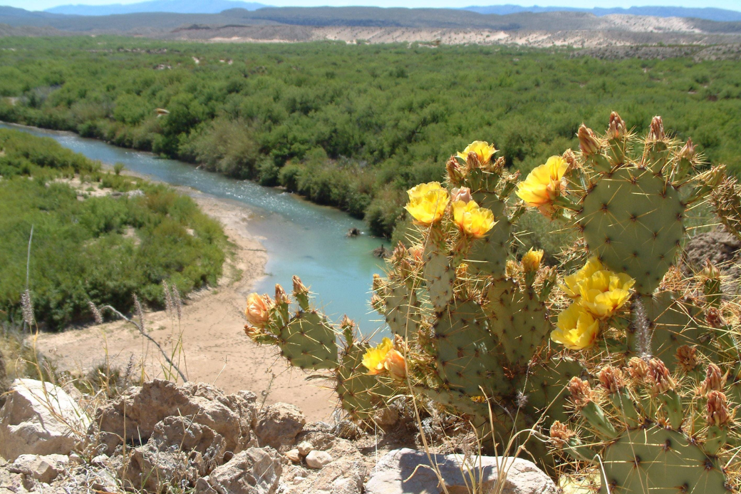 BigBendNationalPark