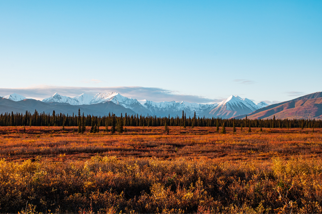 DenaliNationalParkAK