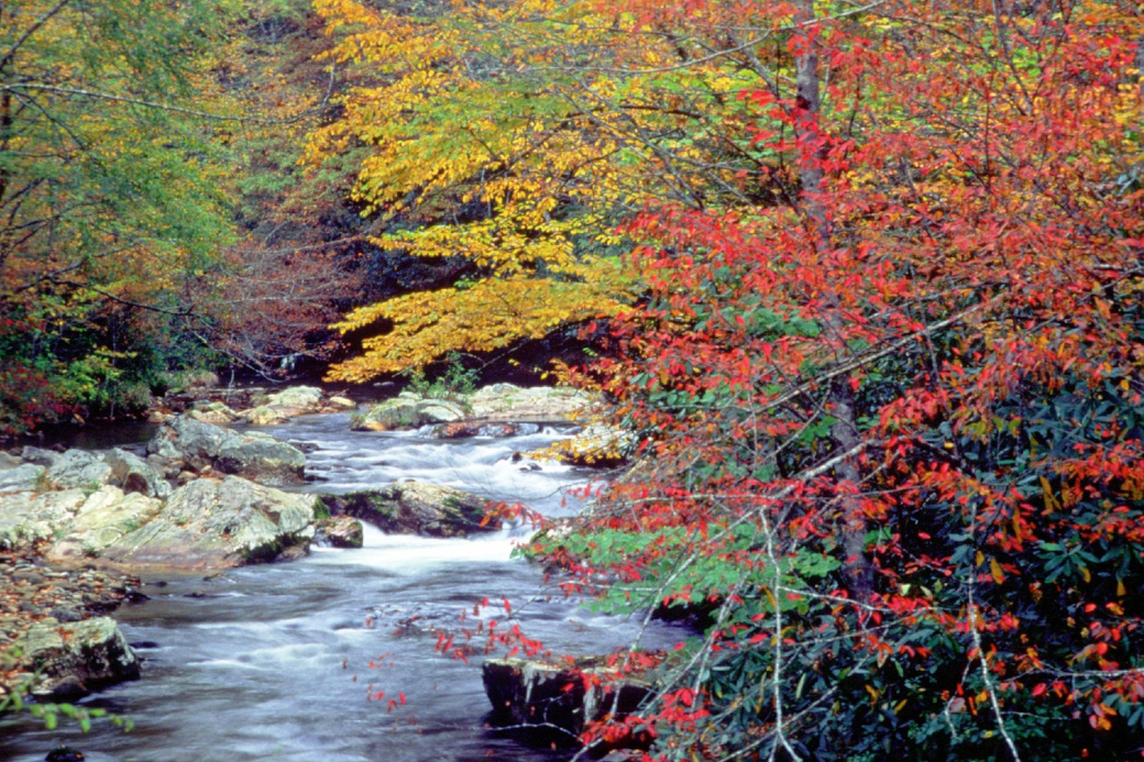 GreatSmokyMountainsNationalPark