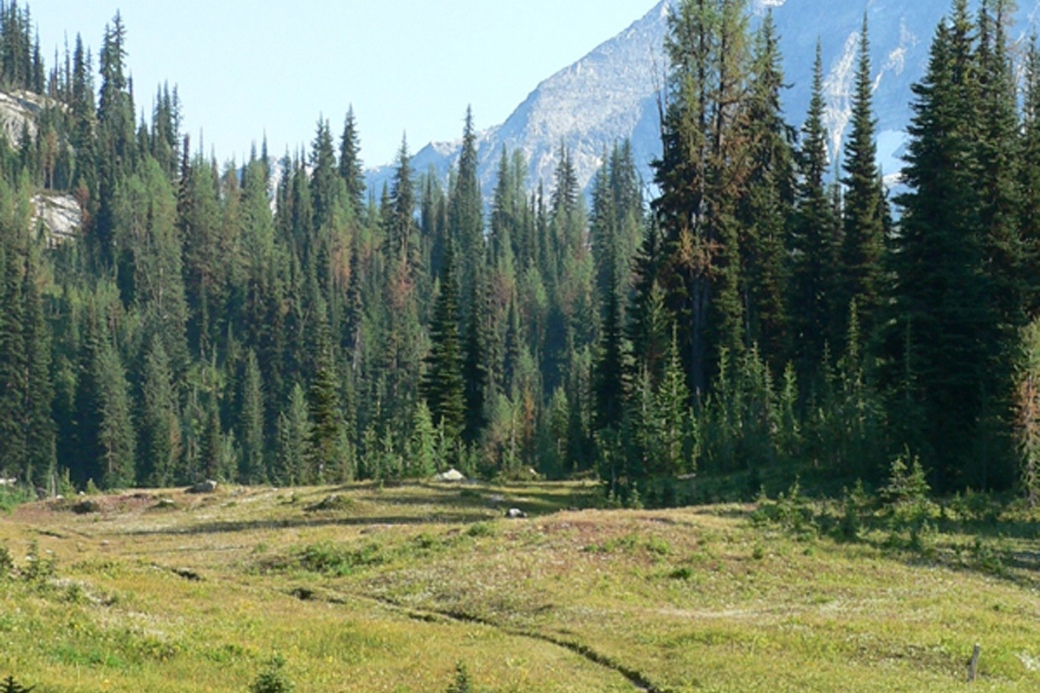 NorthCascadesNationalPark