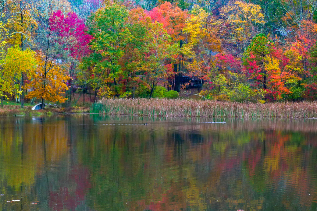 ThePoconosPA