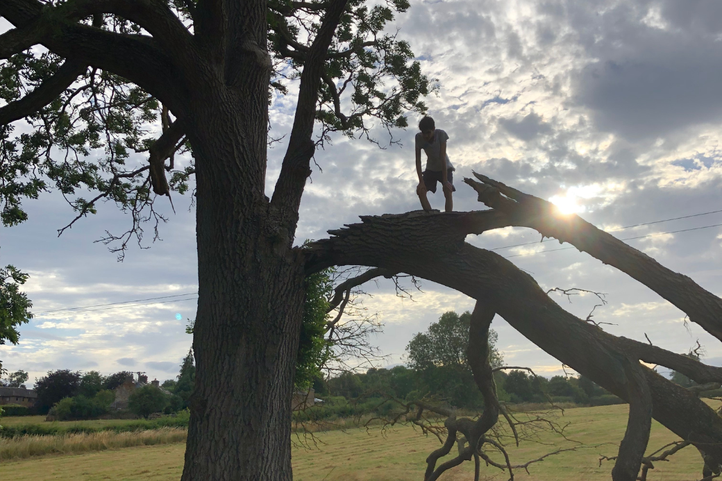 MemberTestimonialMaryGreen3