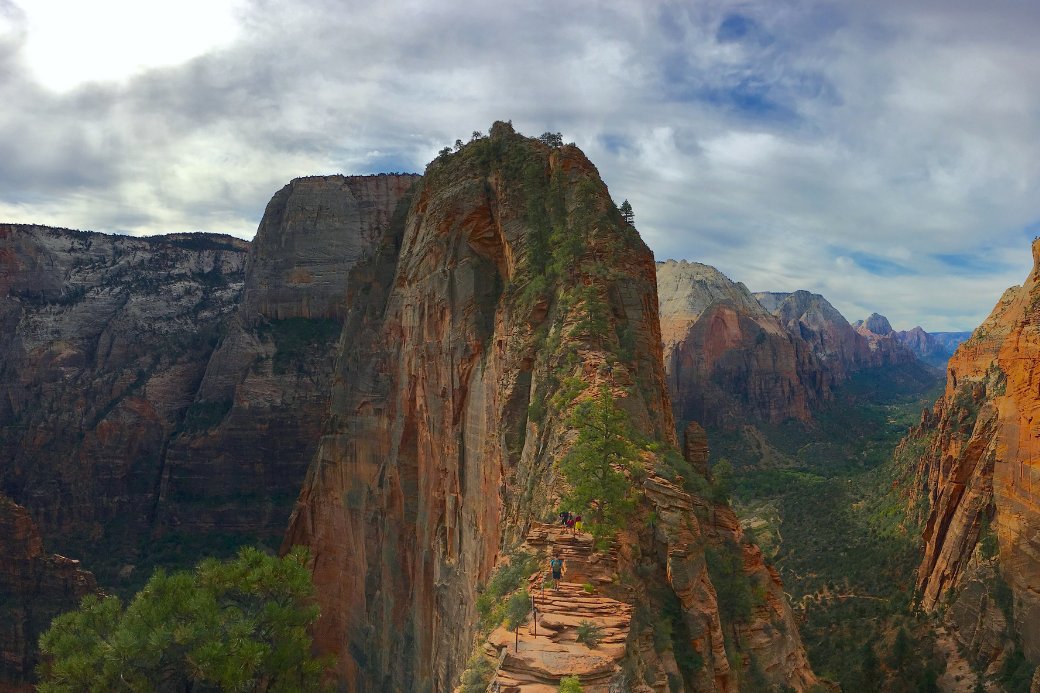 ZionNP