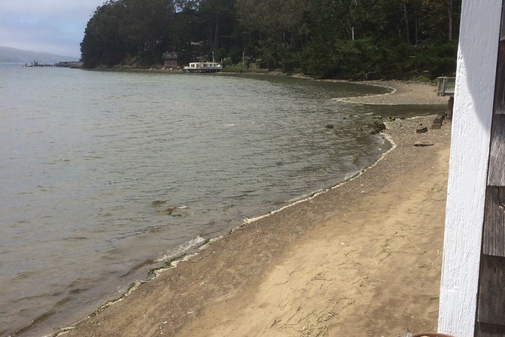 LisaMcCreadyHEforTeachers2