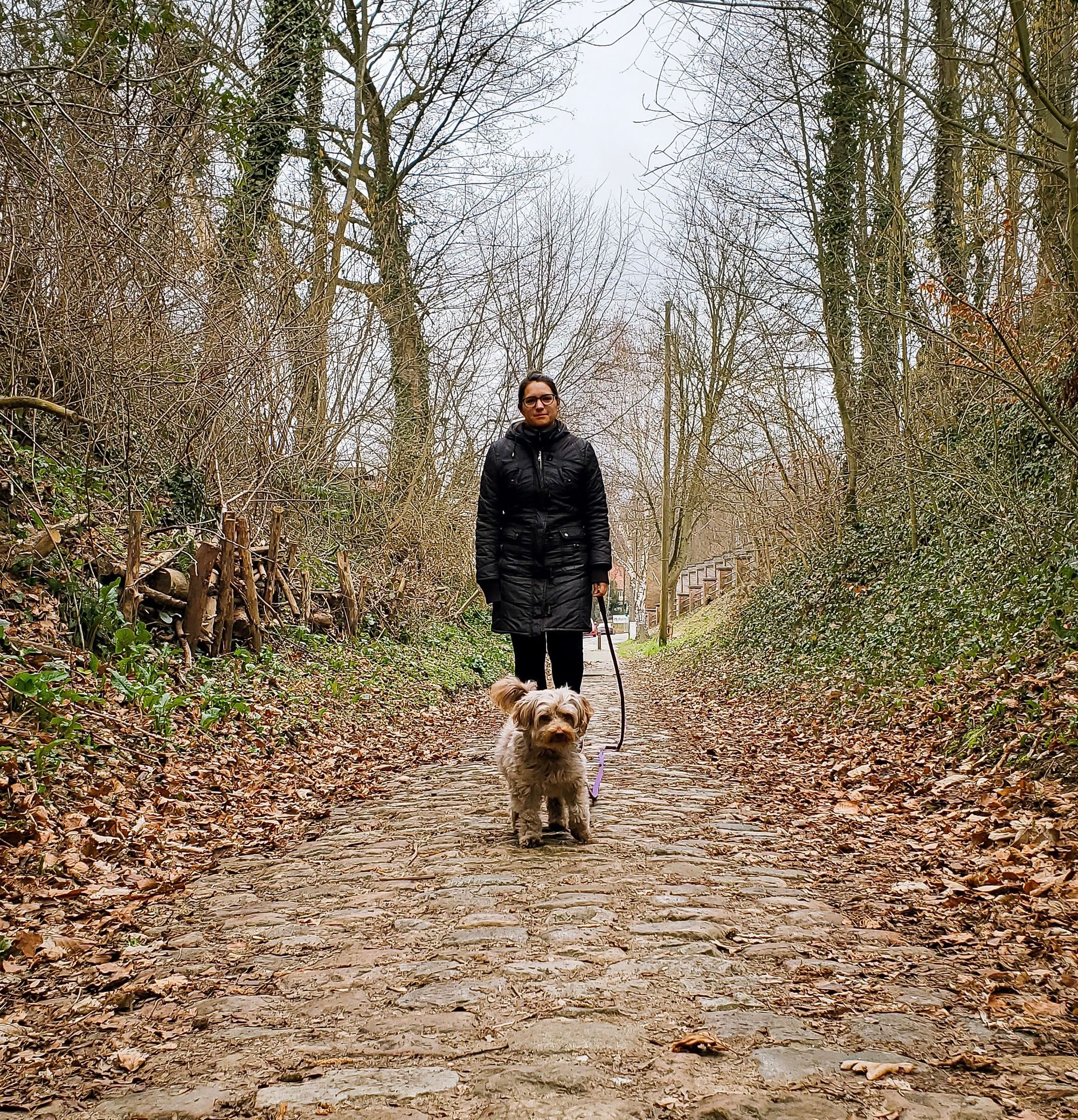 HomeExchange with pets in Alsemberg