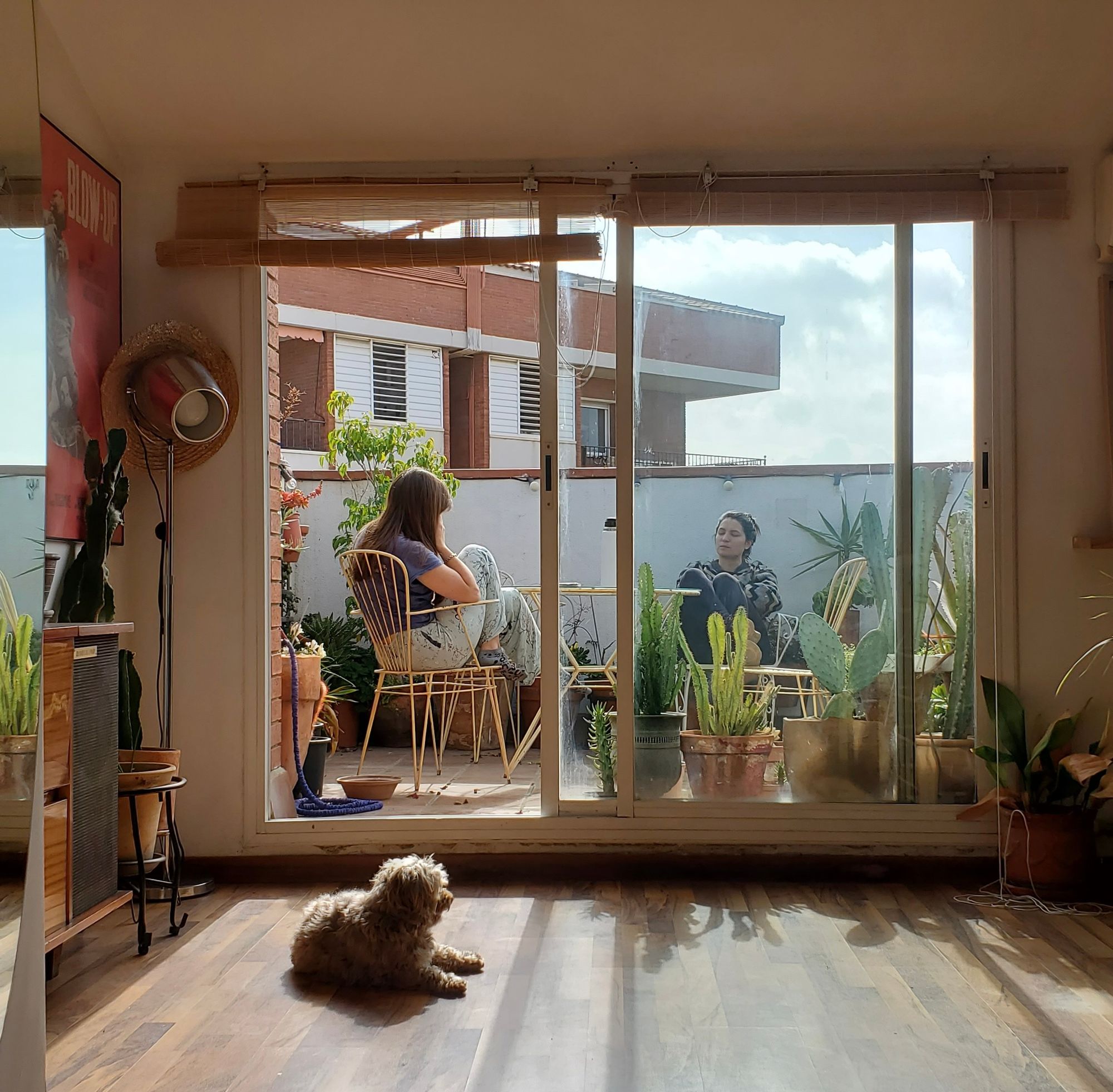 Friends enjoying the sun on vacation in Bilbao on a HomeExchange