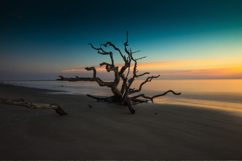 Jekyll Island as one the best places to visit in august. Photo by Zach Reiner