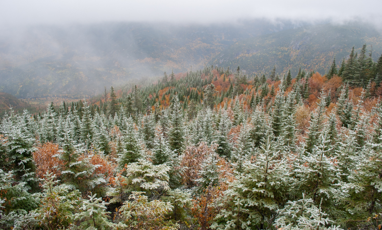 Parc national des Hautes-Gorges-de-la-Rivière-Malbaie photo by delphine beausoleil