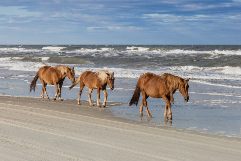 The Outer Banks as one of the best places to visit in august. Photo by Bonnie Kittle