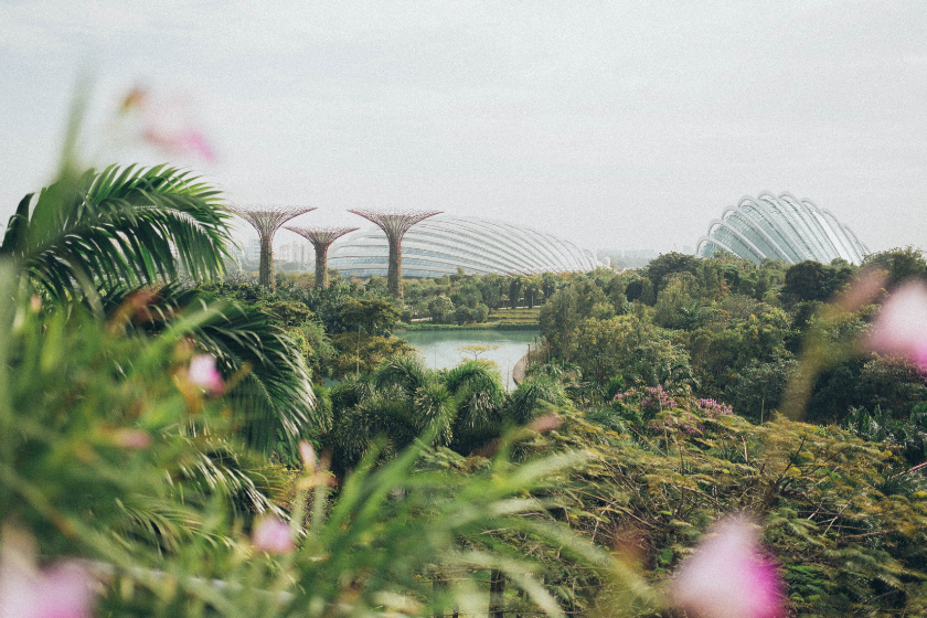 where to travel with a baby in the world singapore