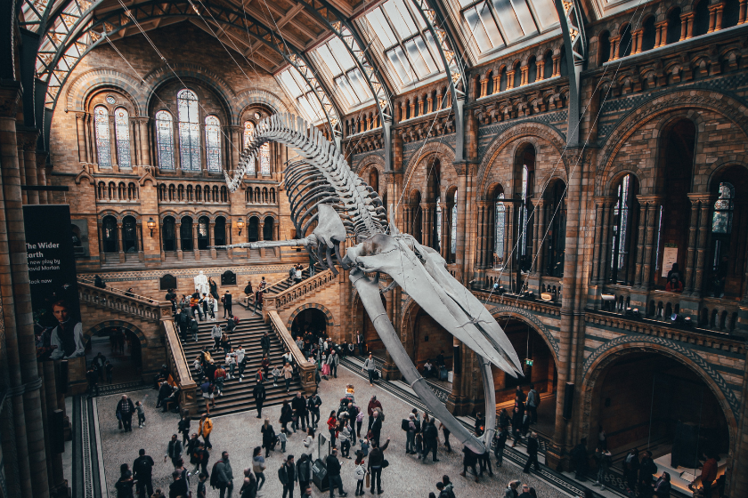 how to travel Europe cheap photo by Joshua Rawson Harris