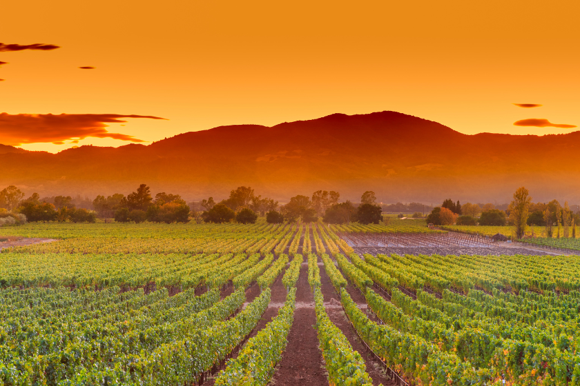 napa valley budget honeymoon ideas