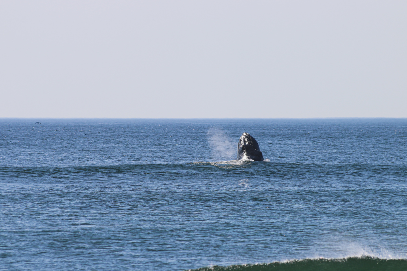photo by brian yurasits best beaches in Massachusetts