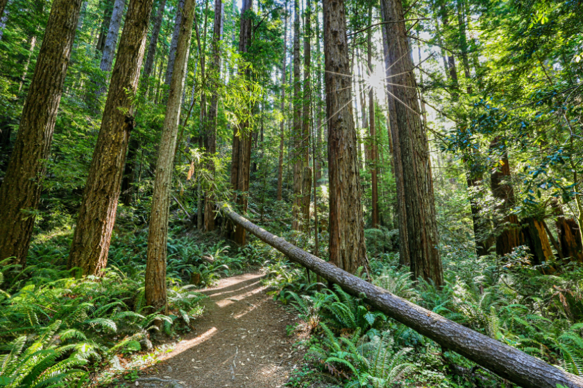 romantic getaways northern california mendocino