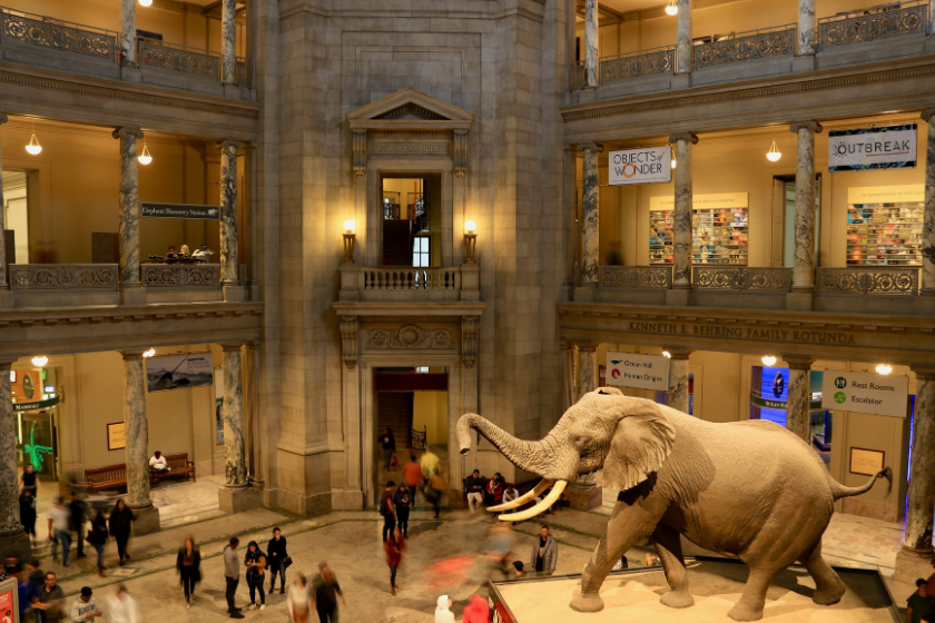 Most visited tourist attraction in the world: National natural history museum