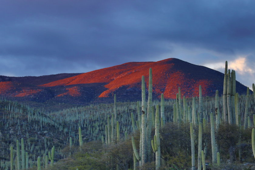 reasons to visit mexico