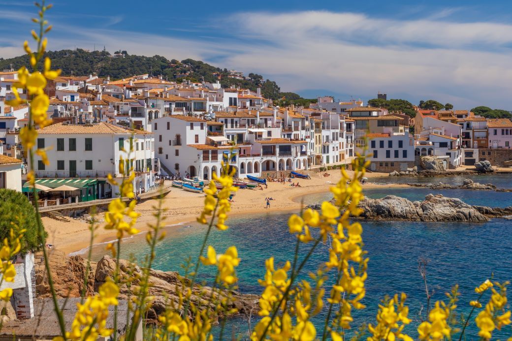 White-washed houses and beach in Parafrugell with yellow flowers in foreground - best beaches in Spain
