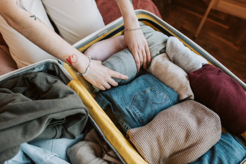how to get rid of bedbugs