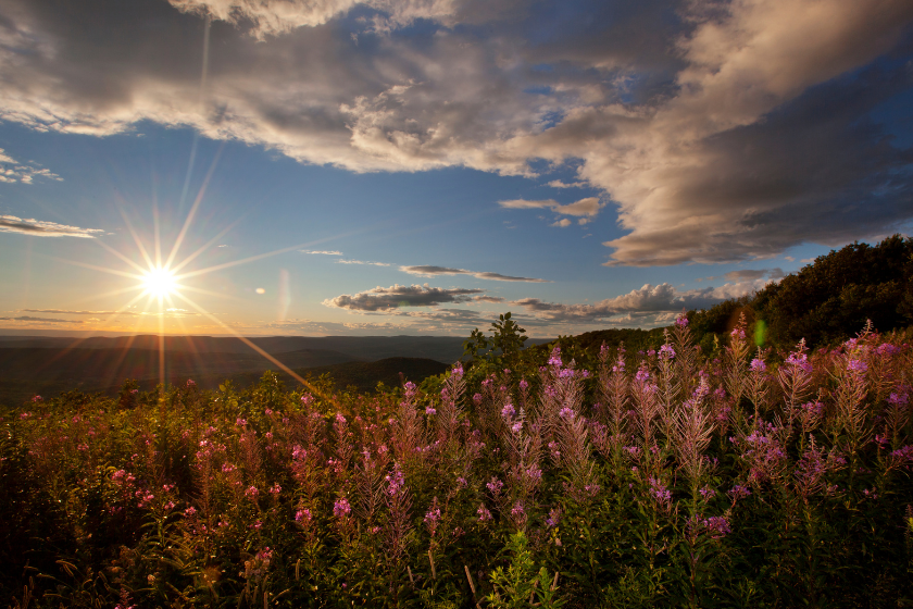 Look of the Berkshires in Massachusetts