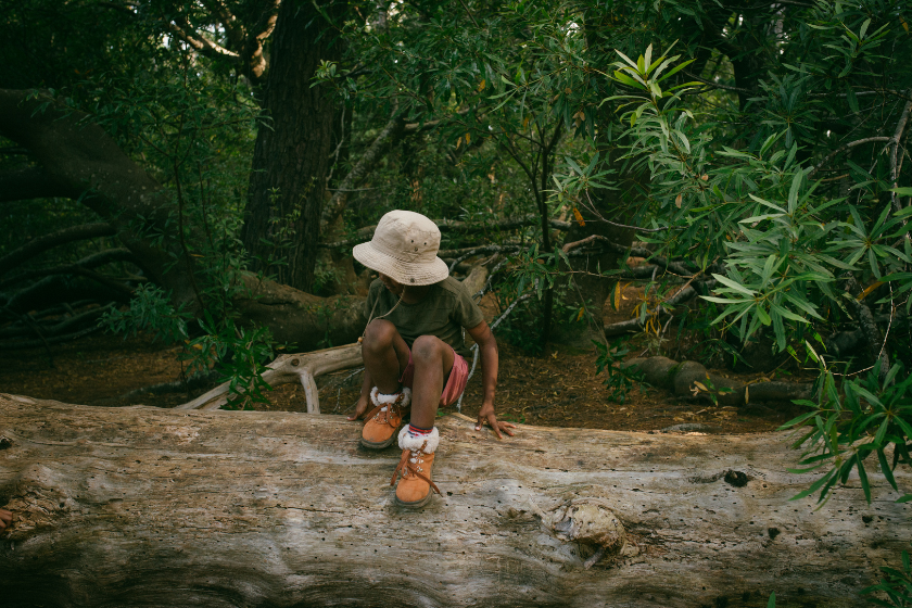 Travel locally for the ecology