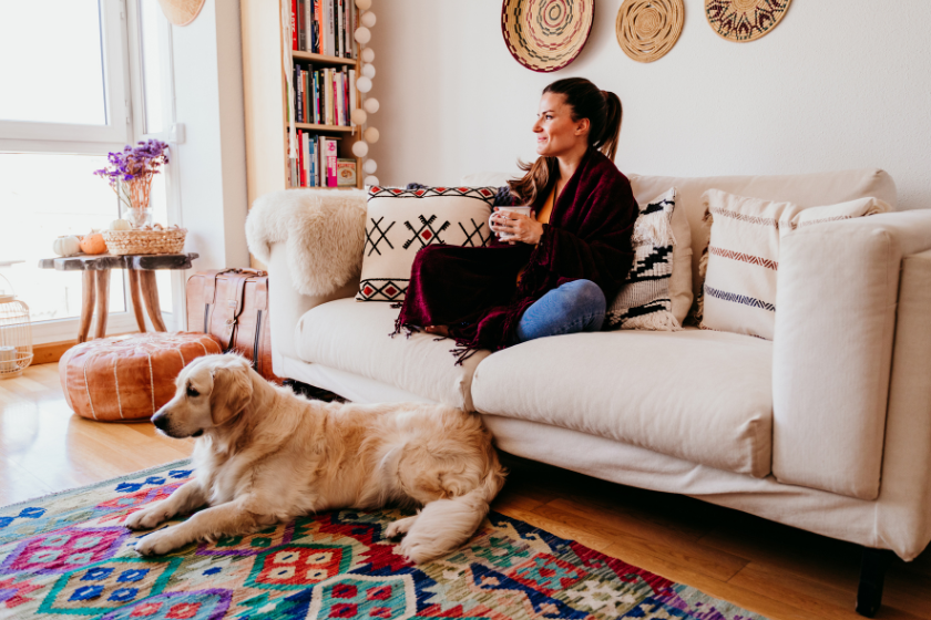 pet friendly accommodation