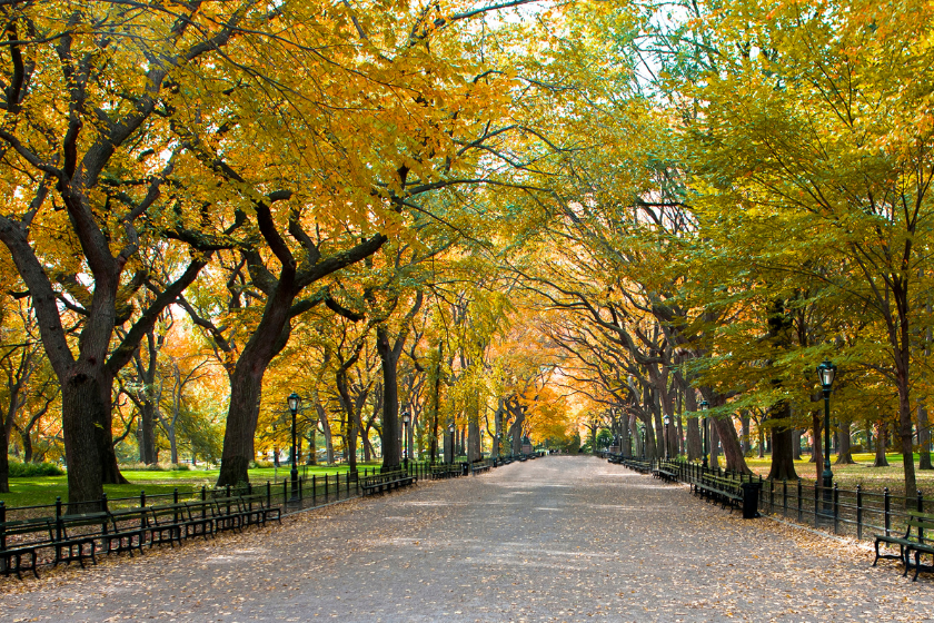 what to see in new york city in 5 days