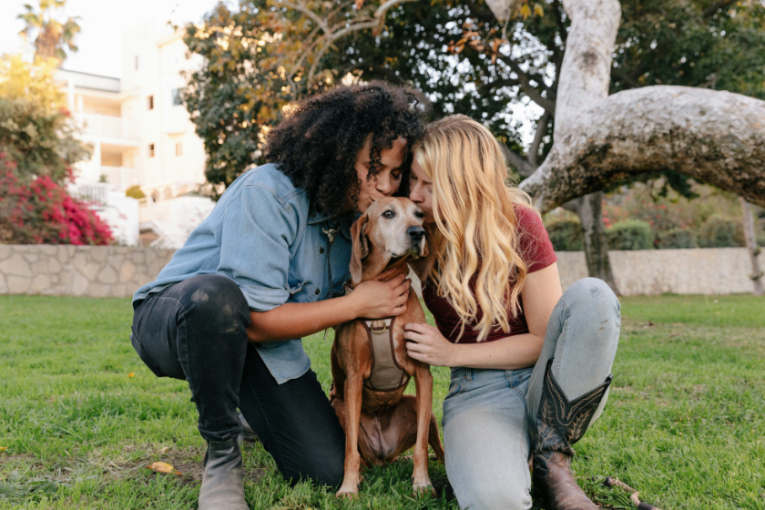 dog friendly airbnb 