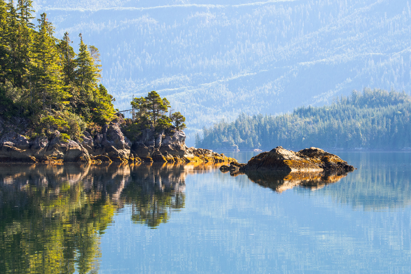 dog friendly weekend getaways