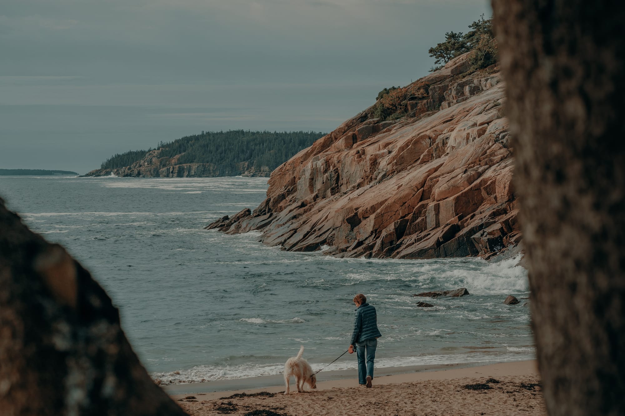 pet friendly weekend getaways